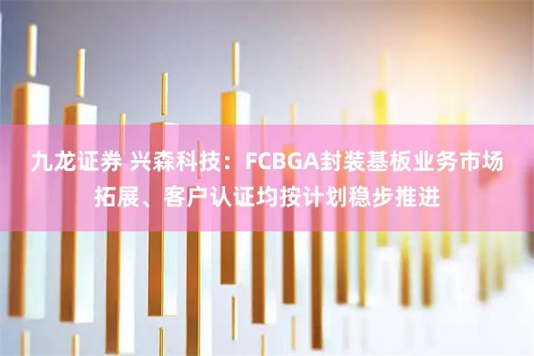 九龙证券 兴森科技：FCBGA封装基板业务市场拓展、客户认证均按计划稳步推进