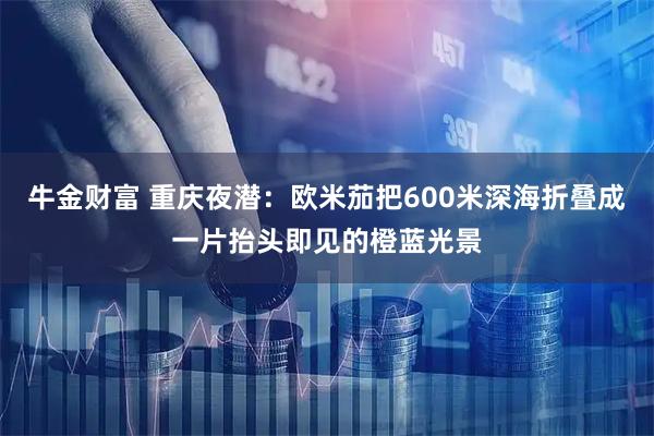 牛金财富 重庆夜潜：欧米茄把600米深海折叠成一片抬头即见的橙蓝光景